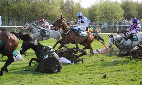 Dead Race Horse